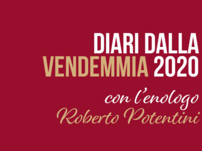 Diari dalla Vendemmia 2020