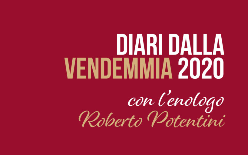 Diari dalla Vendemmia 2020