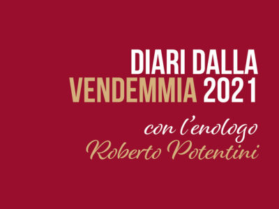 Diari dalla Vendemmia 2021