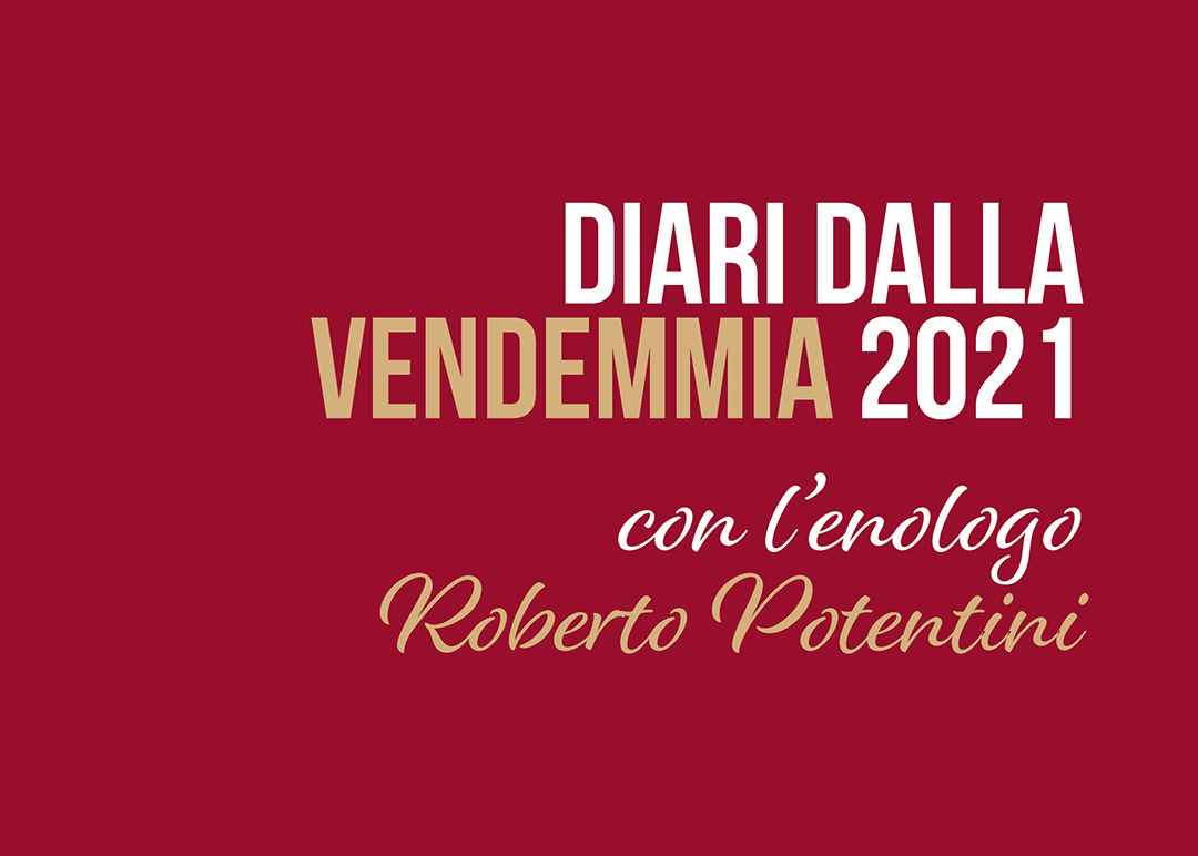 Diari dalla Vendemmia 2021