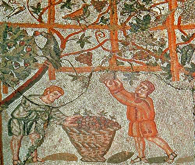 Roman Mosaic of grape harvesting