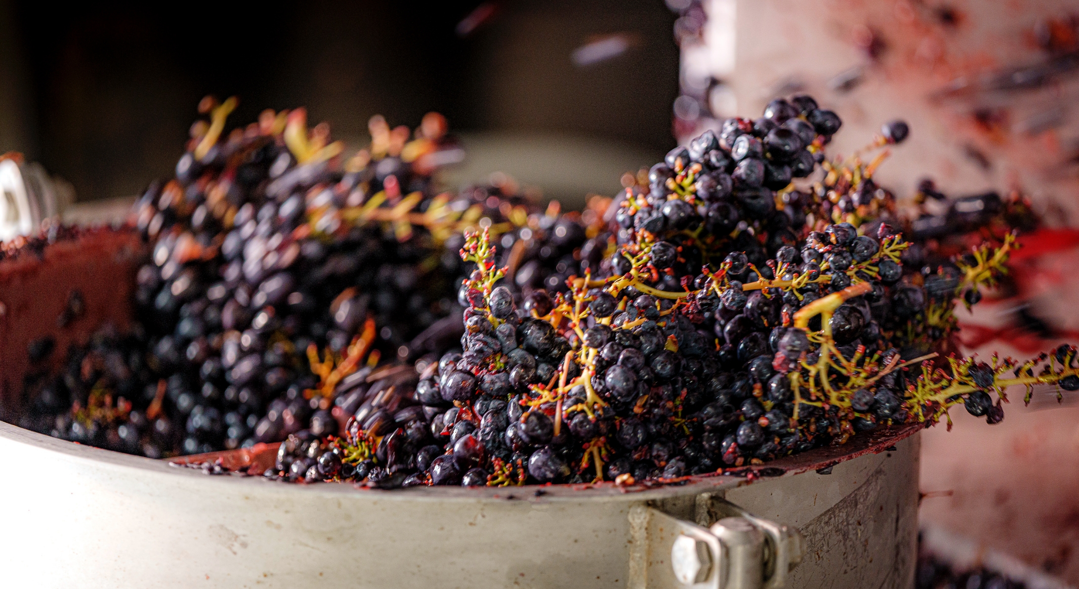 Cantina tenuta Vigne a Porrona