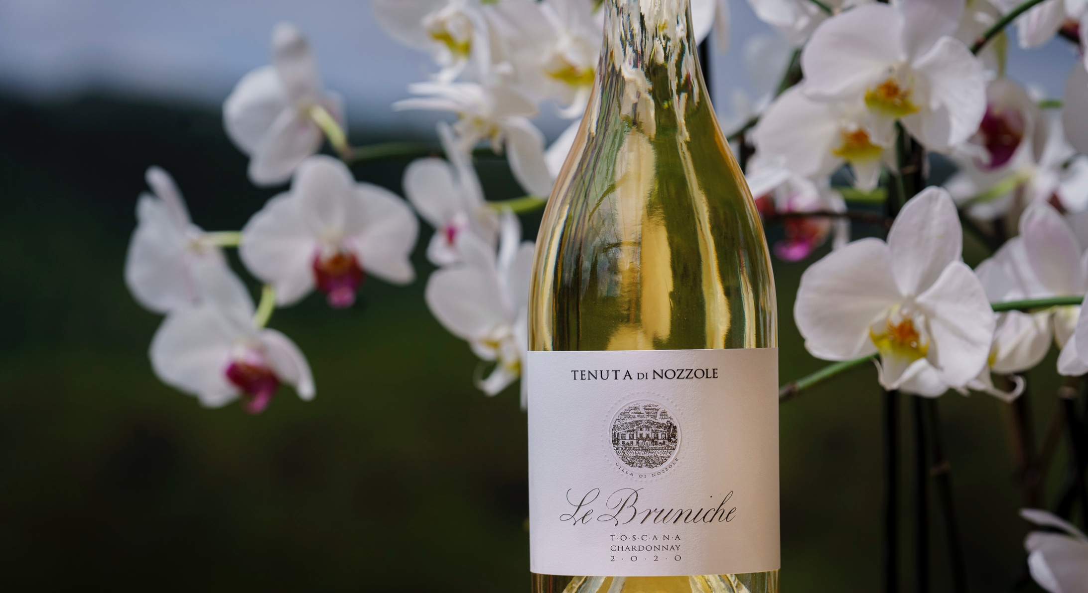Premi tenuta Tenuta di Nozzole