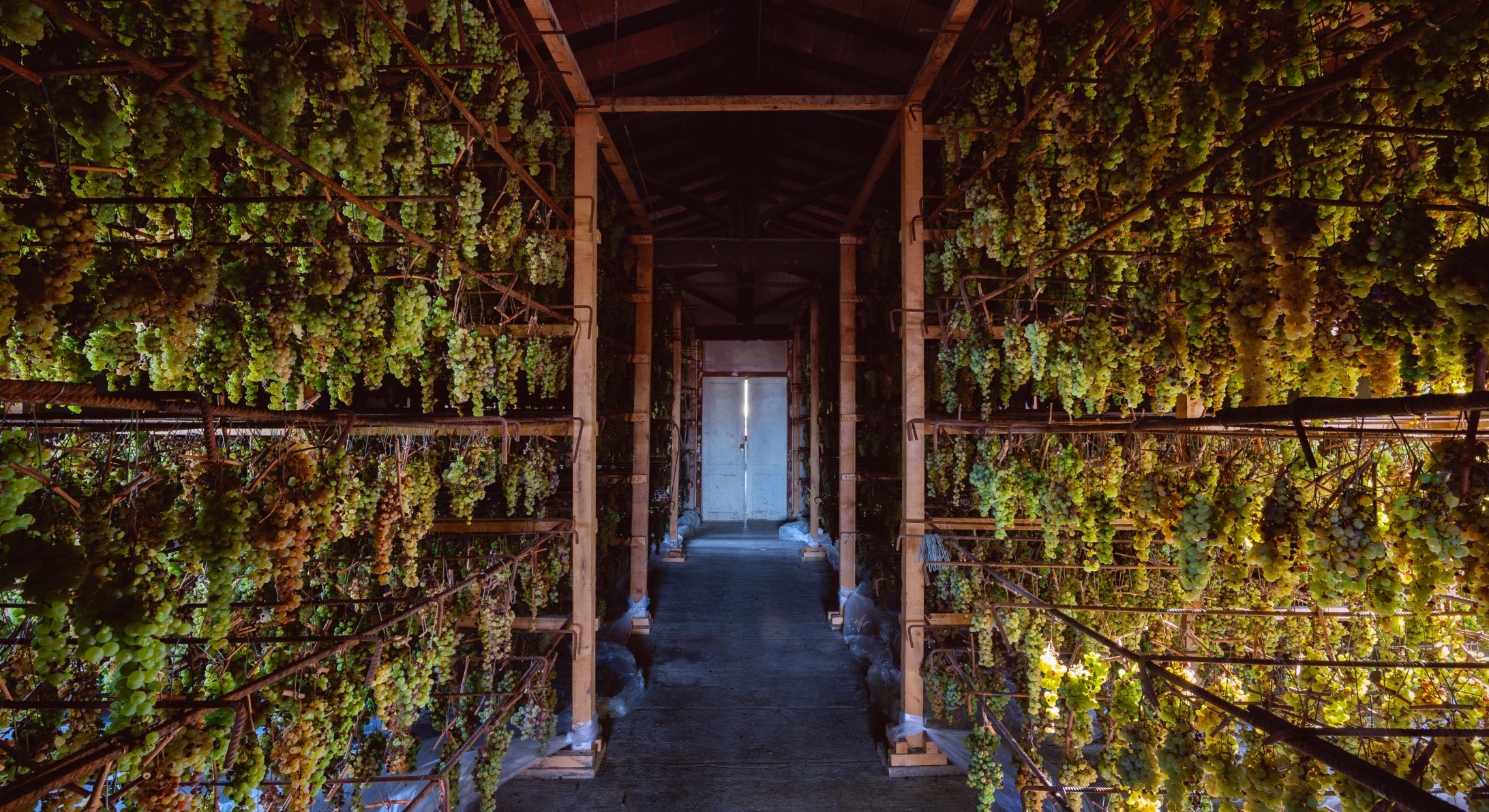 Cantina tenuta Tenuta di Nozzole