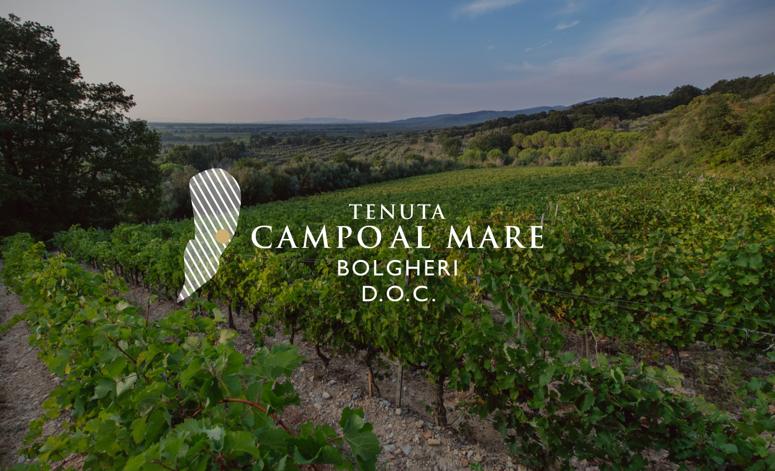 Tenuta Campo Al Mare Bolgheri D.O.C