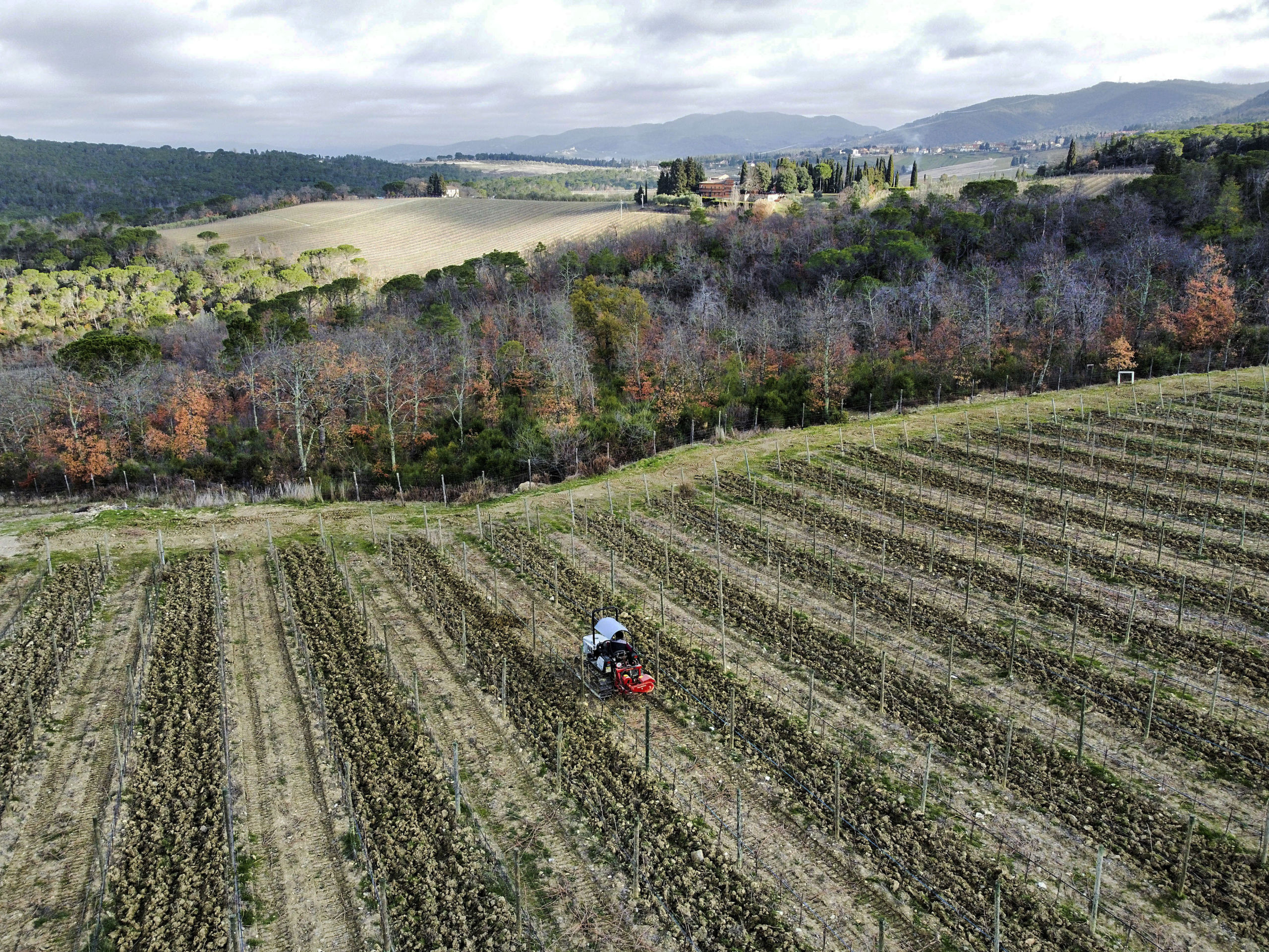 Dry pruning