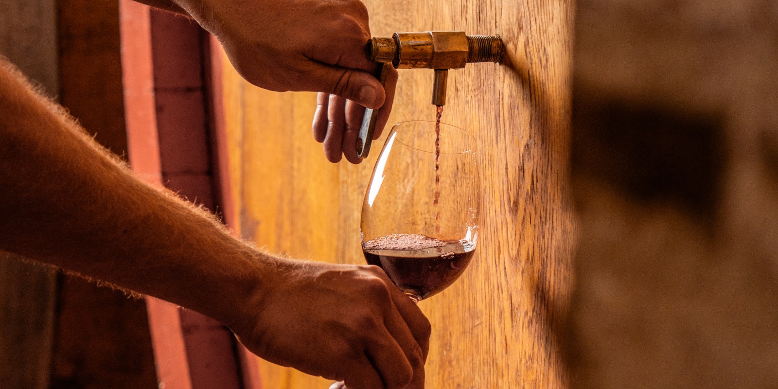 La Cantina Tenuta La Fuga