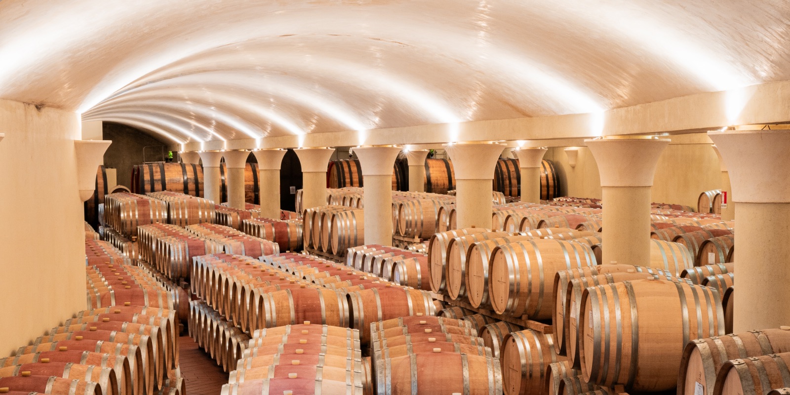 La Cantina Tenuta di Nozzole