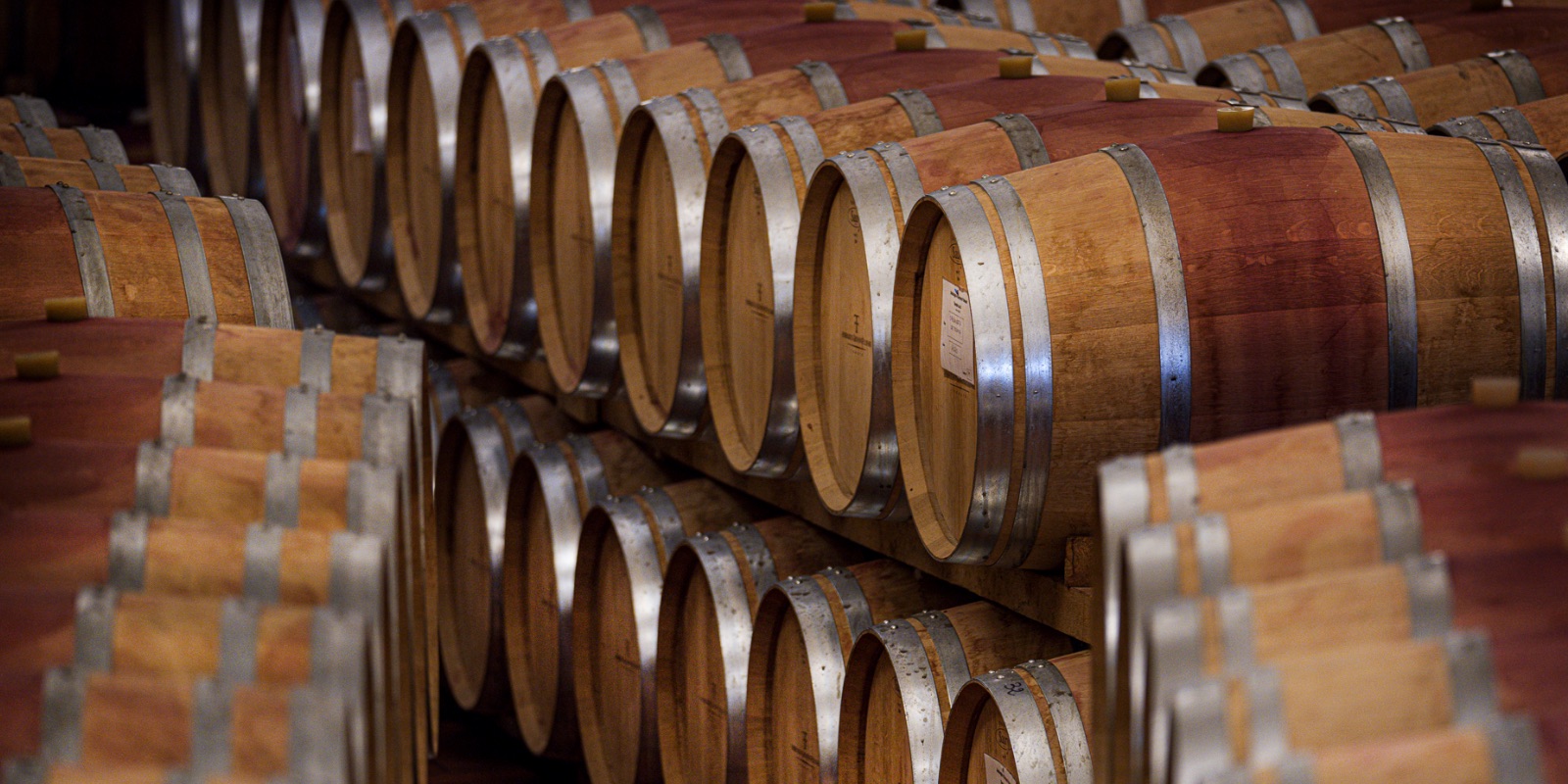 La Cantina Tenuta di Nozzole