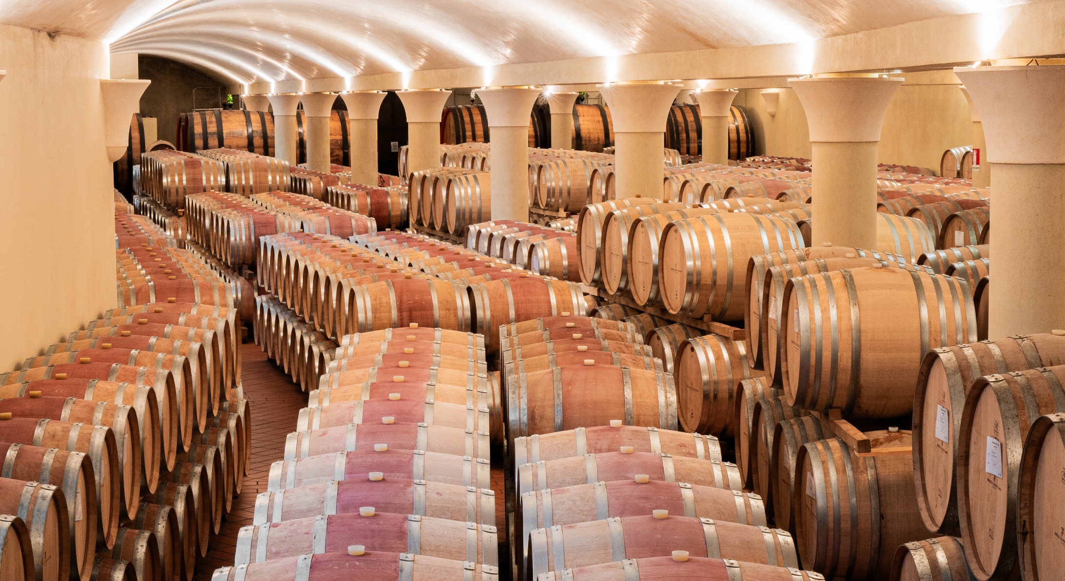 Cantina tenuta Tenuta di Nozzole
